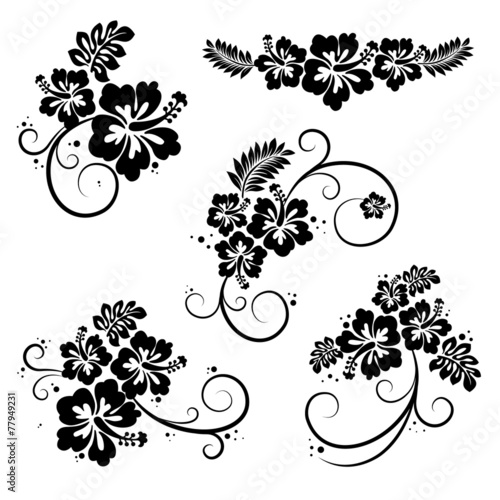 Set of hibiscus flourish decorative design elements