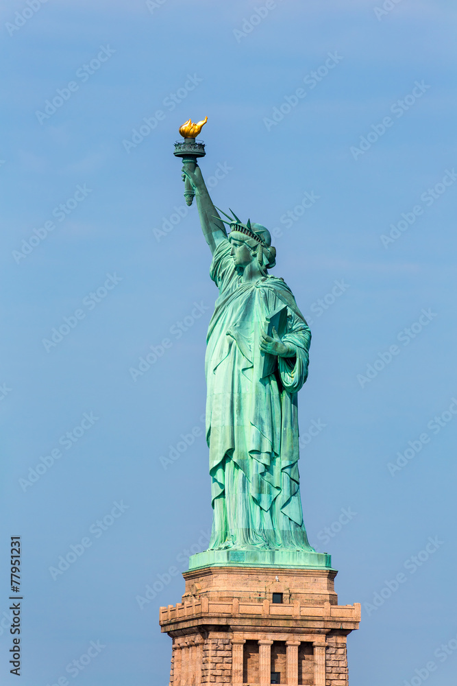 Fototapeta premium Statue of Liberty New York American Symbol USA