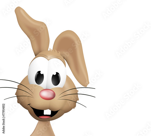 Easter buny illustration