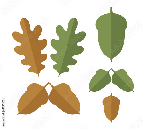 Acorn. Set