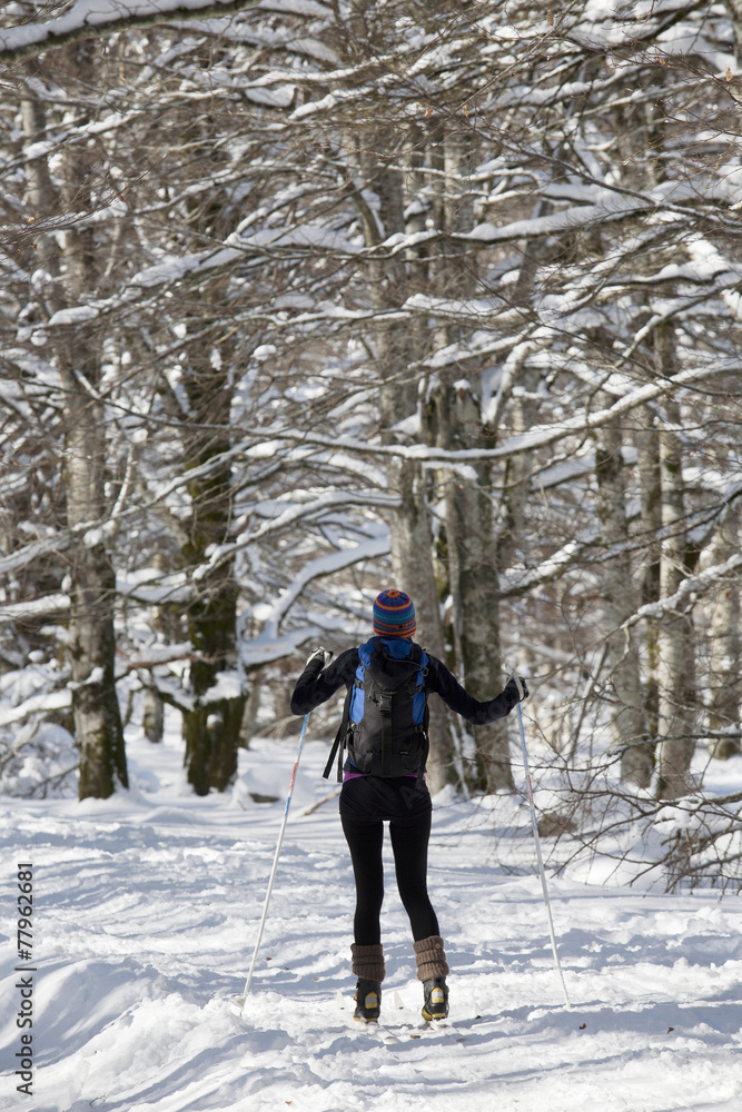 A woman cross-country skiing A woman cross-country skiing
