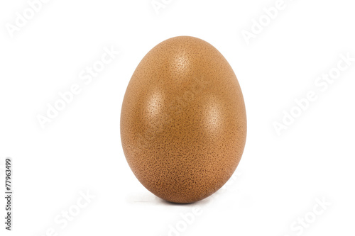 The Egg White Background