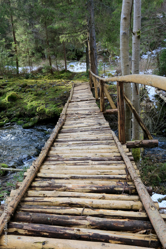 Obraz premium wooden bridge