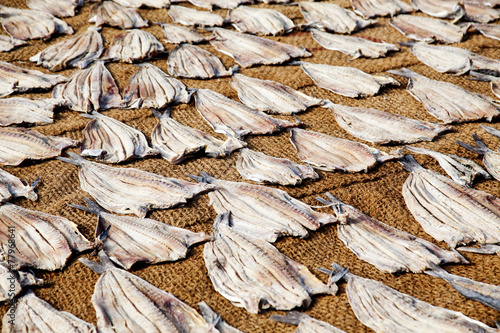 Dried fish photo