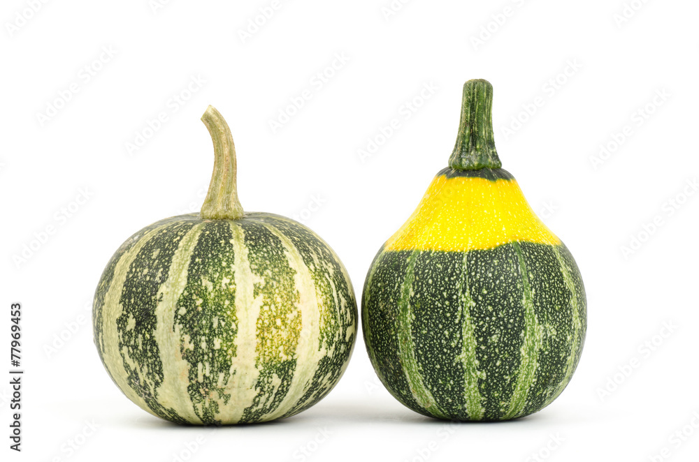 Colorful pumpkins on white background Colorful pumpkins on white background
