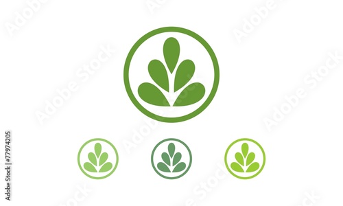 Leaf Logo 13