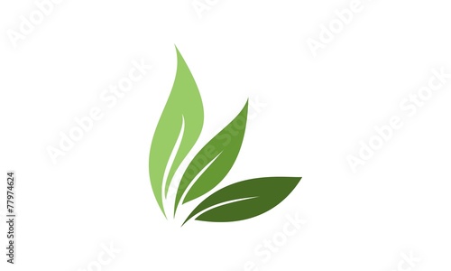 Leaf Logo Vector Illustration Design Template