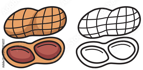 colorful and black and white nut for coloring book
