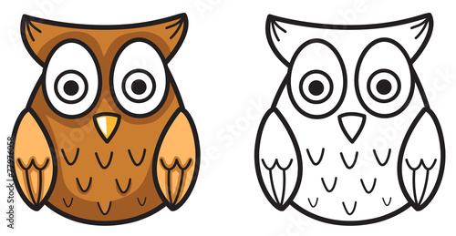 colorful and black and white owl for coloring book