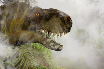 Poster Dinosaurus Tyrannosaurus rex in mistige jungle  © Brocreative