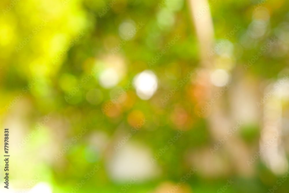 Summer background. Out of focus Summer background. Out of focus