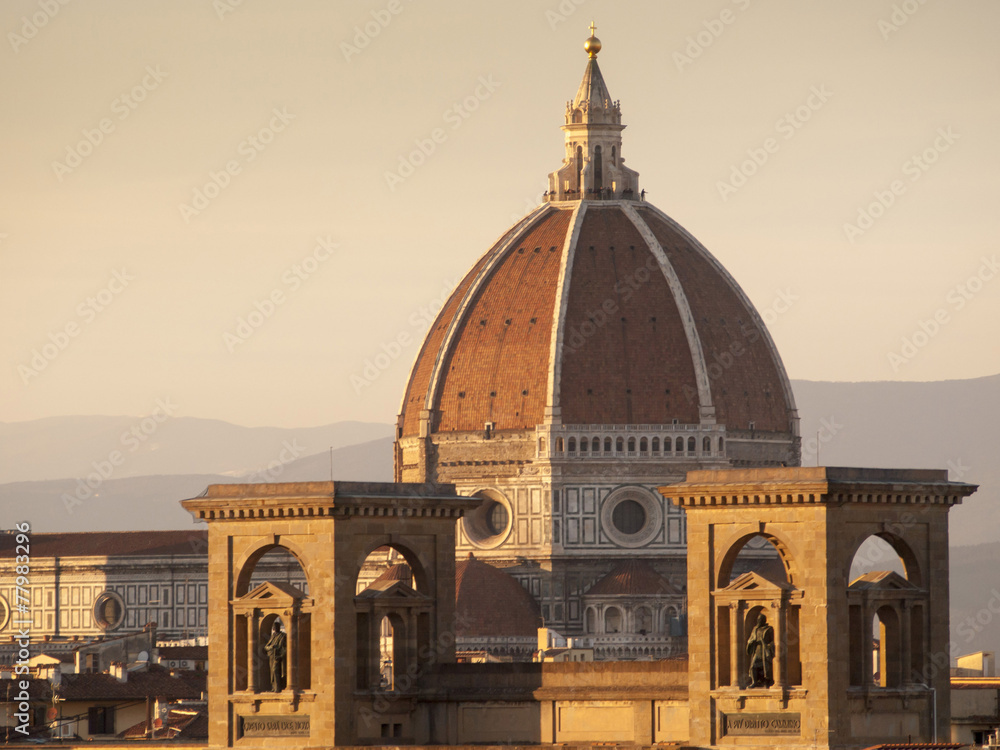 Fototapeta premium Firenze,cupola del Duomo e Biblioteca Nazionale.