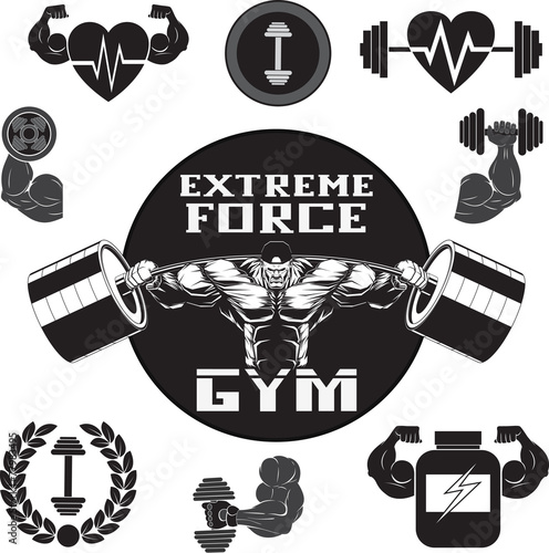 Vector set gym