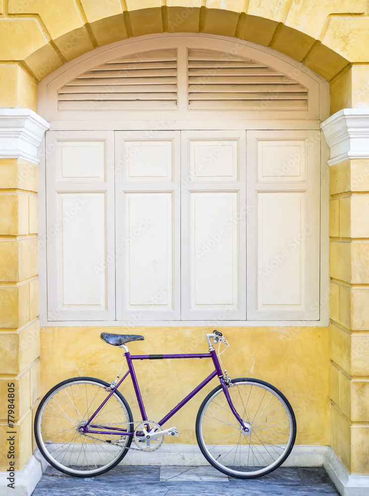 Vintage Hipster bicycle on wall frame