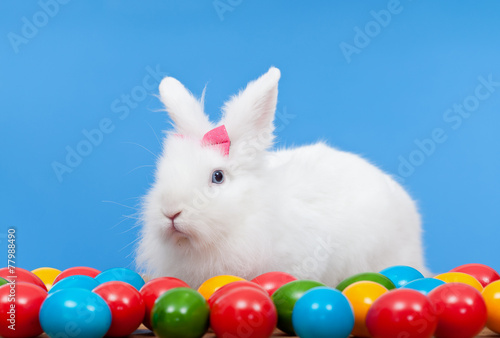 Fluffy white rabbit with pink bow guarding colorful eggs © Arpad Nagy-Bagoly