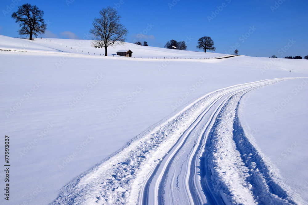 Fototapeta premium Cross-country ski trail -Loipe