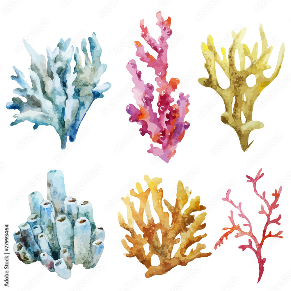 Obraz Koralowce z muszlami i krabami