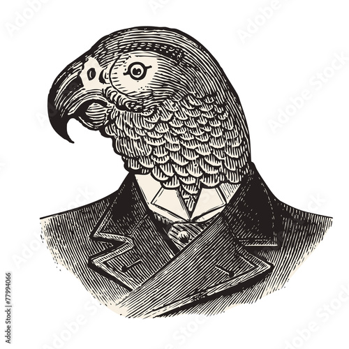 Mr.Parrot