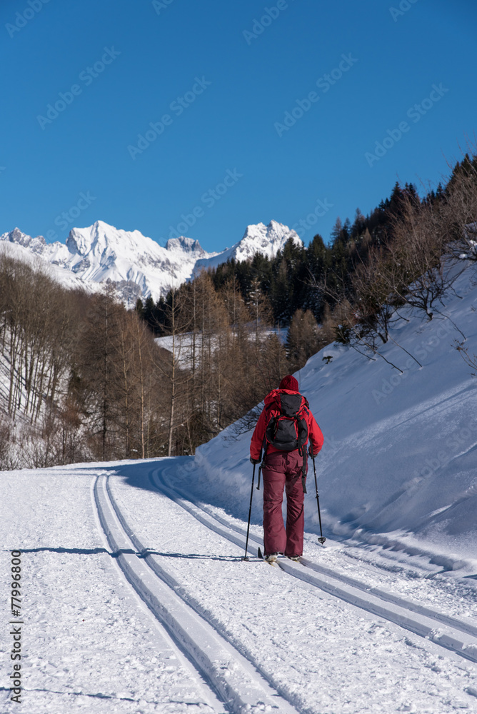 Langläufer mit verschneiten Bergen im Hintergrund