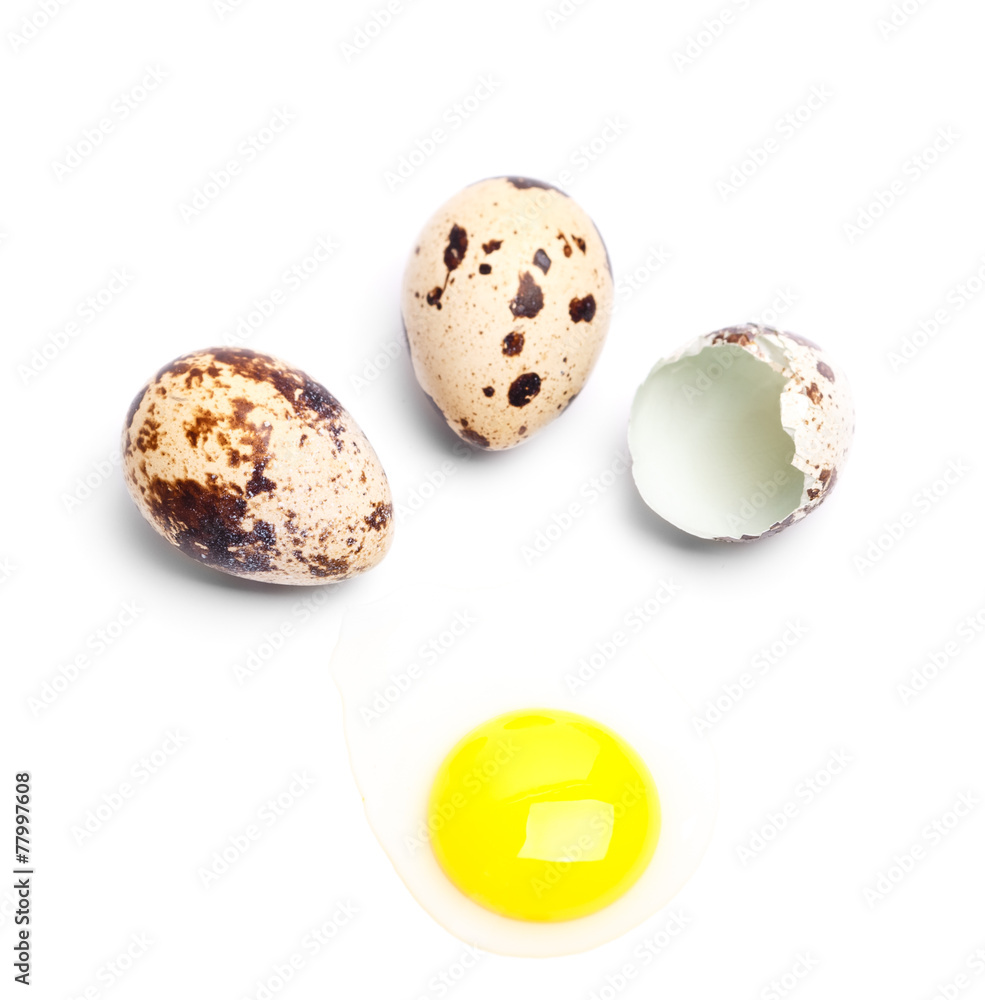 Fototapeta premium quail eggs