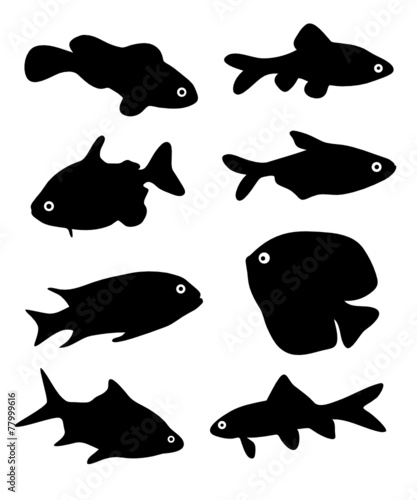 Fische - 3