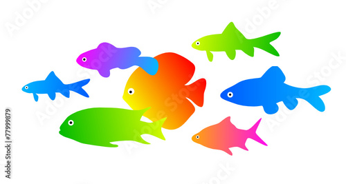 Fische - 7
