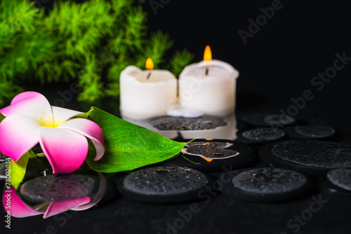 green leaf calla lily  plumeria with drops and candles on zen st