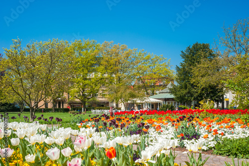 Stadtgarten, Ettlingen, Schwarzwald, Baden-Württemberg, Deutsch photo