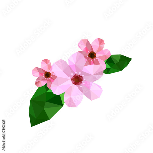 Illustration of beautiful origami cherry blossom