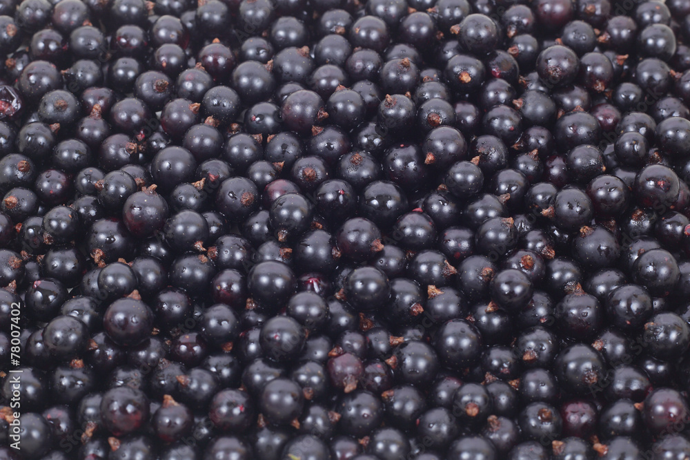 Currants Currants