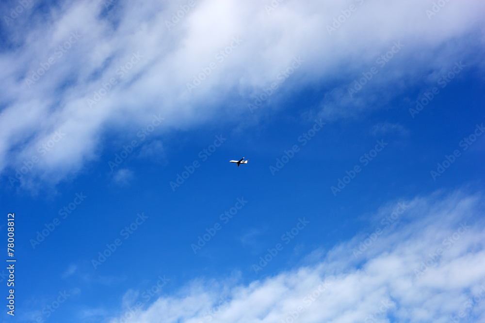 Plane Plane
