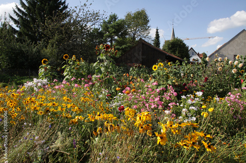 Blumengarten in Alverdissen