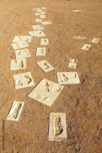 Bilde på lerret Mungo National Park, New South Wales, Australia