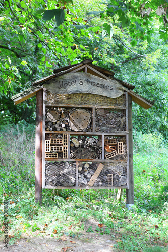 Insect hotel © lanych