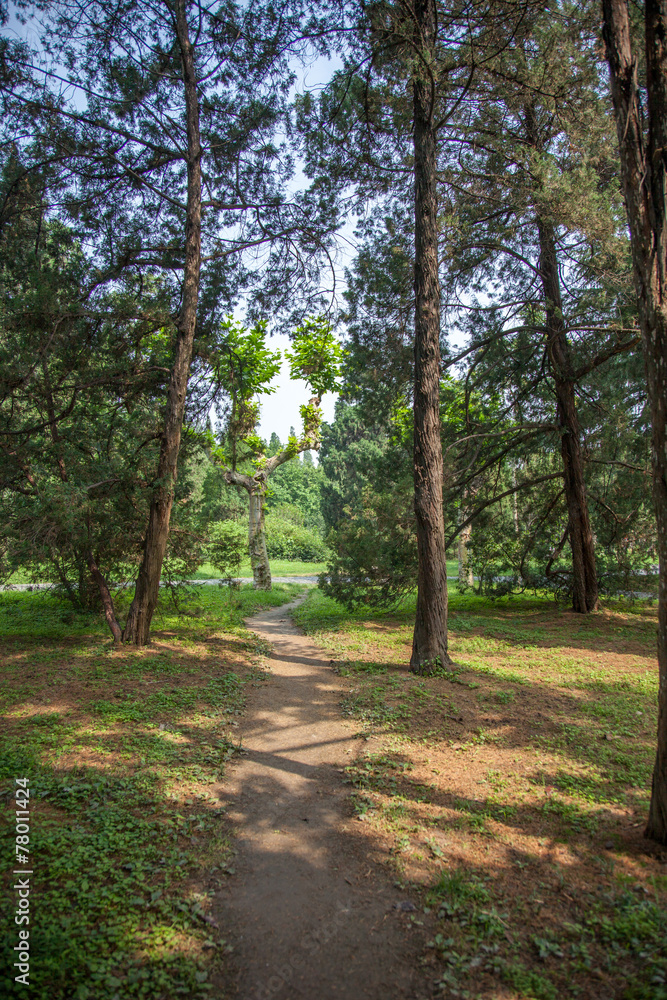 Park in Yangzhou