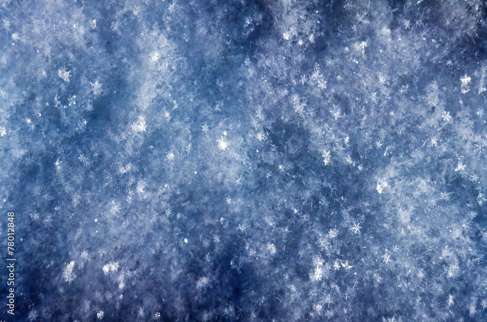 Obraz premium Winter background of shiny snow