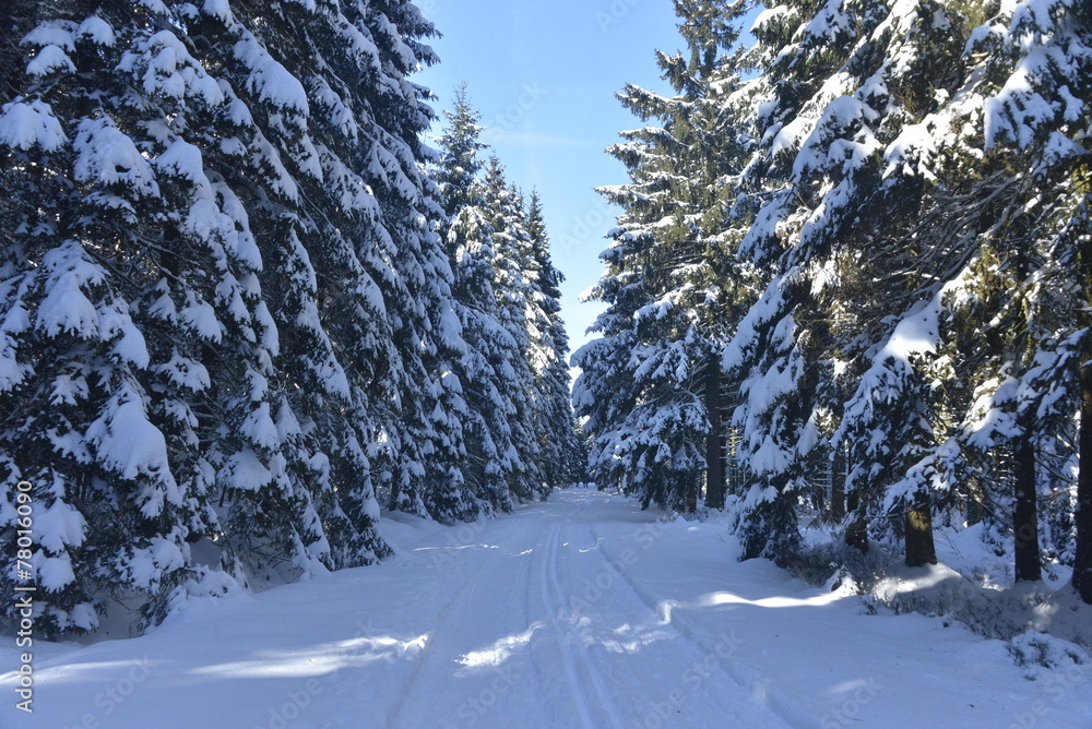 Obraz premium Décor grandiose sur le plateau des Hautes Fagnes