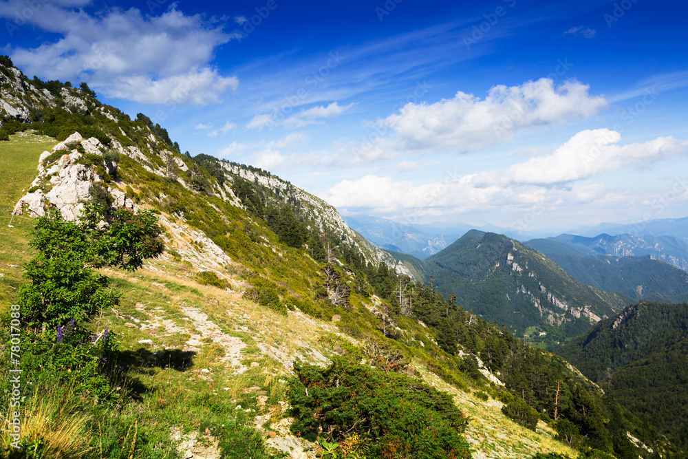 Naklejka premium Simple mountains landscape