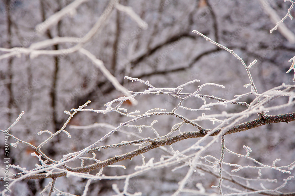 winter mood winter mood