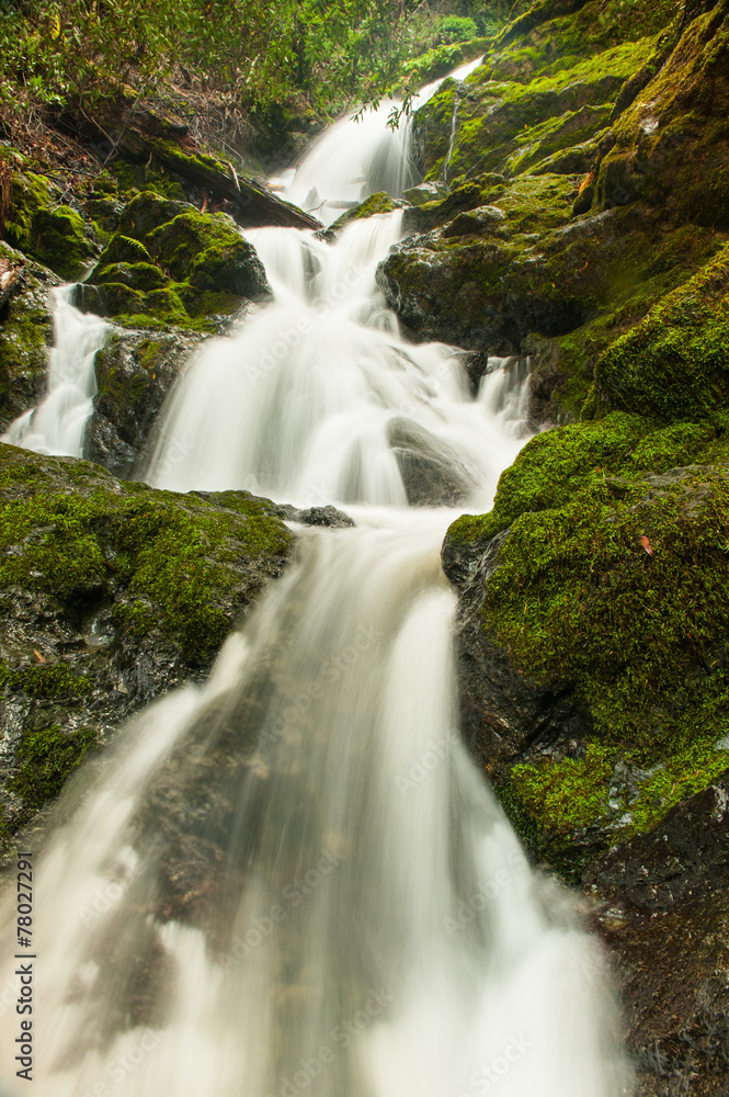 Obraz premium Waterfall through a moss covered rock area