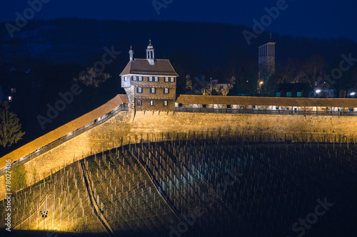 Esslinger Burg bei Nacht photo