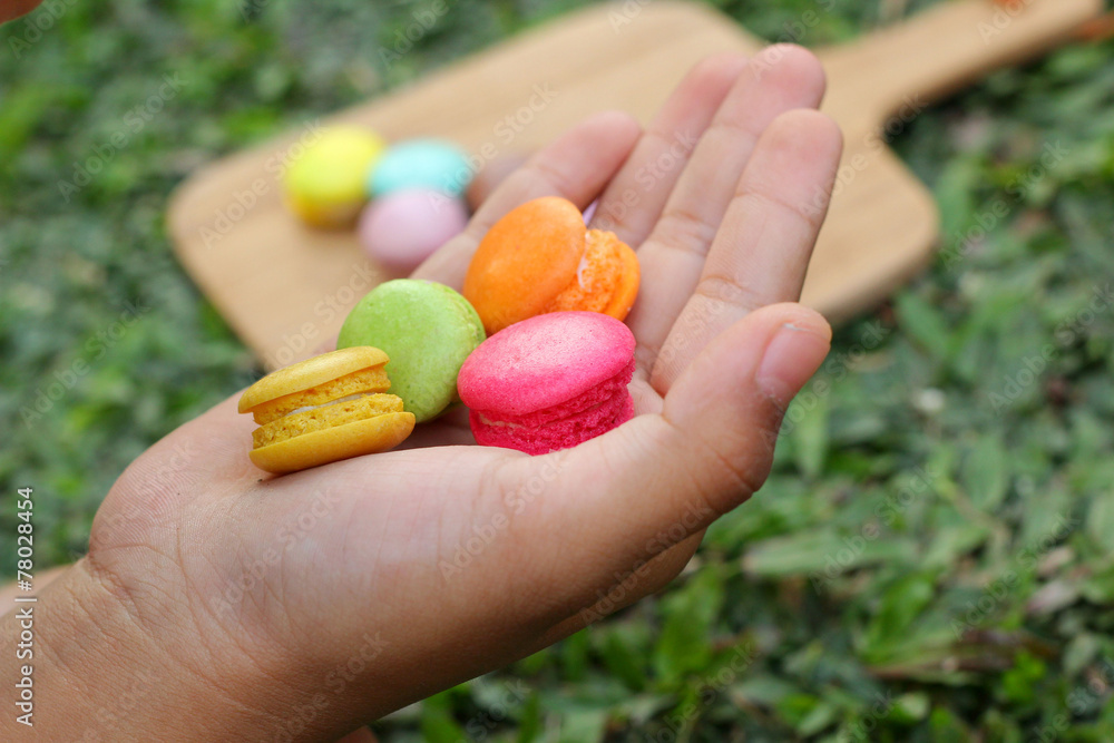 French macaroons multi colorful is delicious