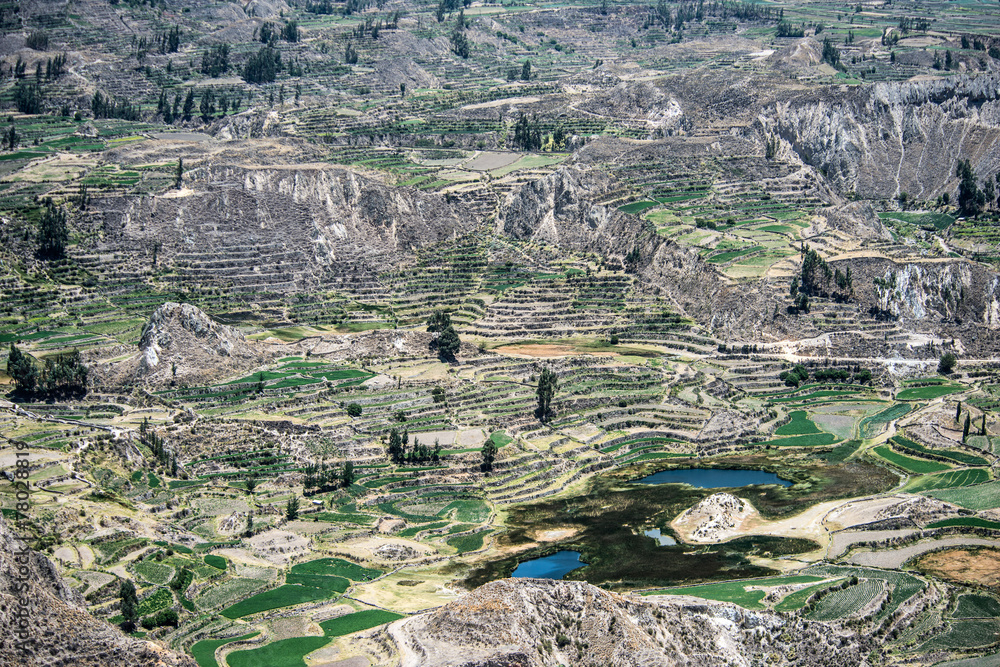 Canyon of the Colca River in southern Peru