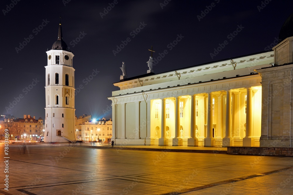 Vilnius cathedral place on winter evening time