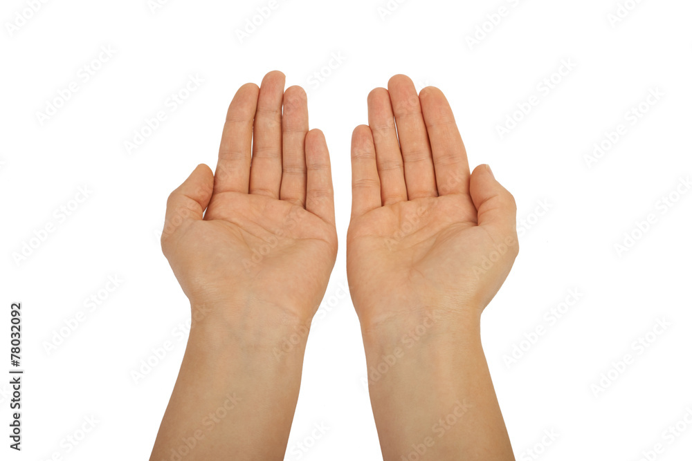 Open palm gesture. isolated on white background, hands. Open palm gesture. isolated on white background, hands.