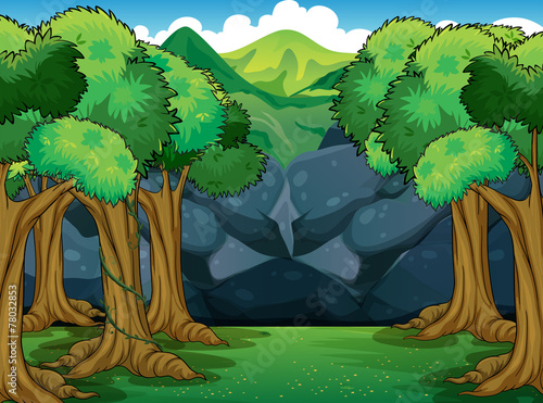 Forest