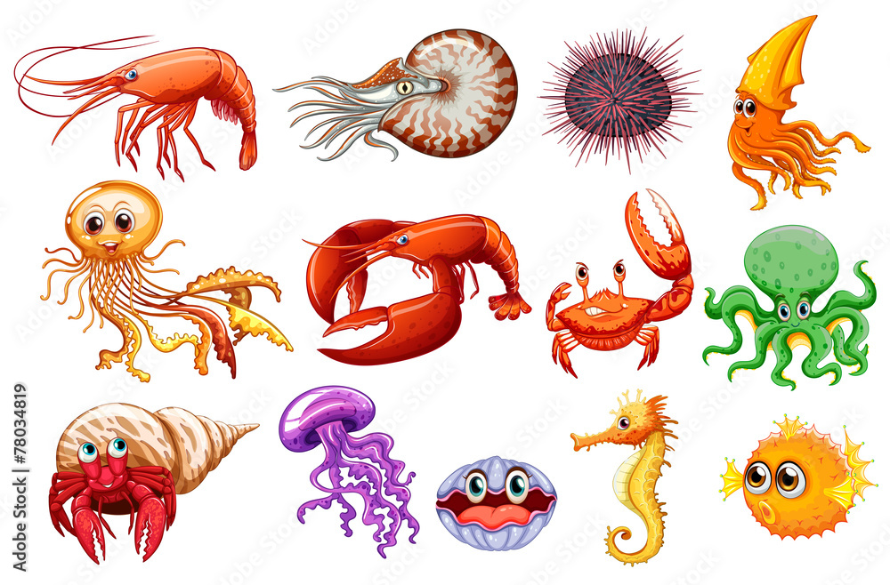 Naklejka premium Sea animals