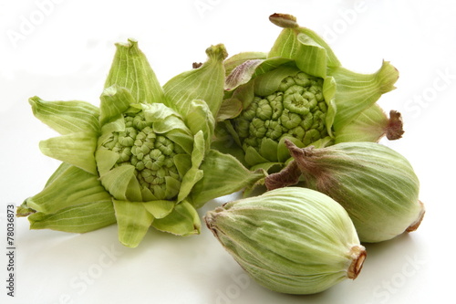 ふきのとう　山菜