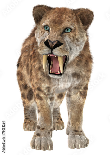 Fototapeta Naklejka Na Ścianę i Meble -  Big Cat Smilodon
