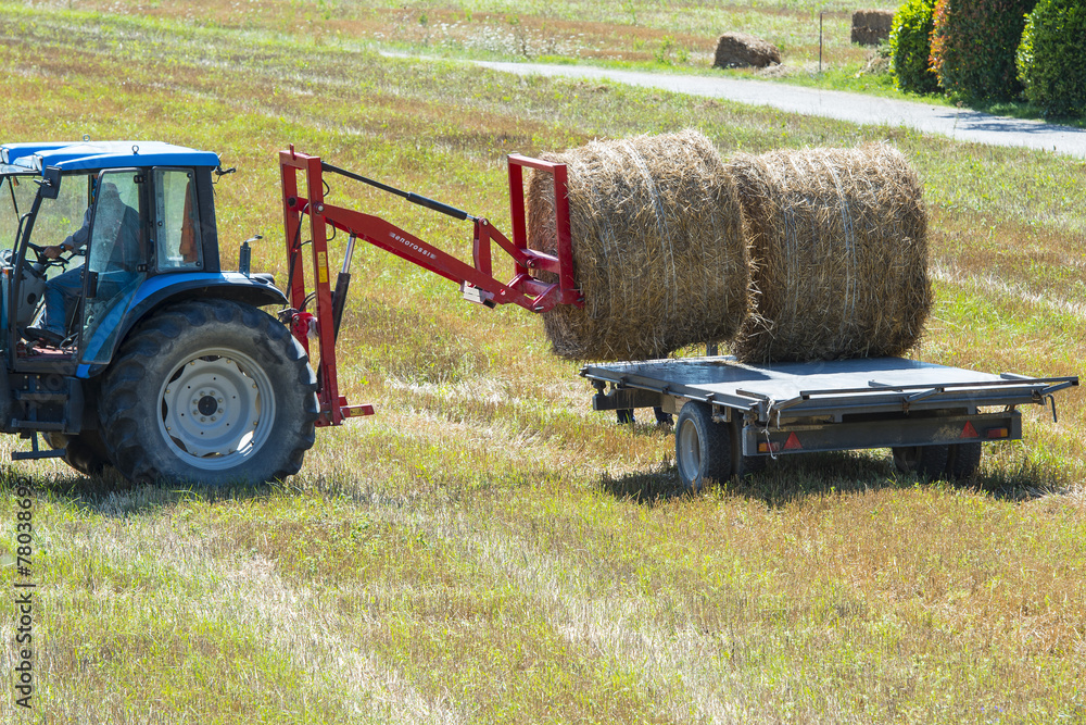 Obraz premium Tractor loading hay bales in a field, Gubbio, Umbria, Italy